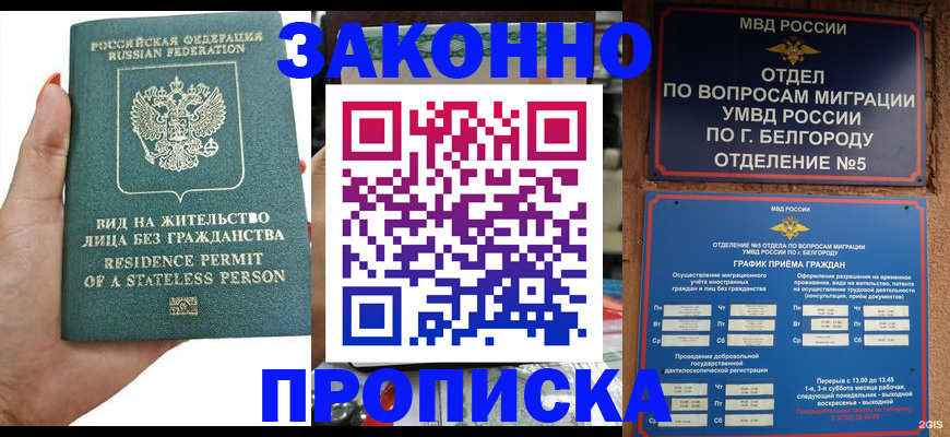 прописка для кредита в Камышлове